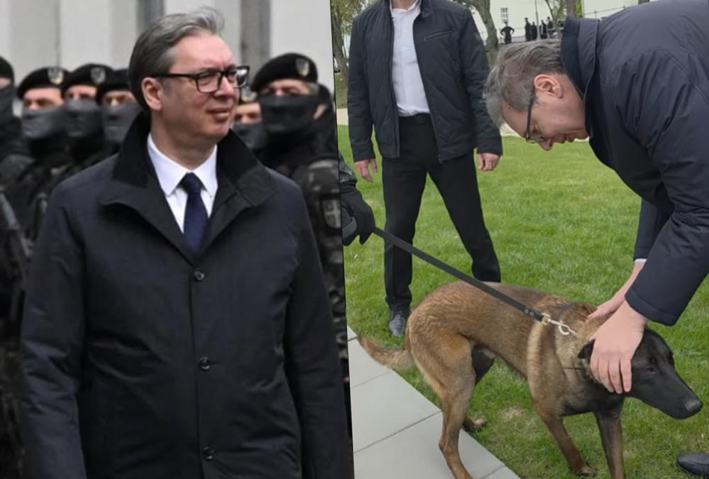 I MILUTIN JE KOBRA! Predsednik Vučić o još jednom pripadniku elitne jedinice: Neumoljiv, opasan i beskrajno odan, njemu eksploziv ne može da promakne (VIDEO) 
