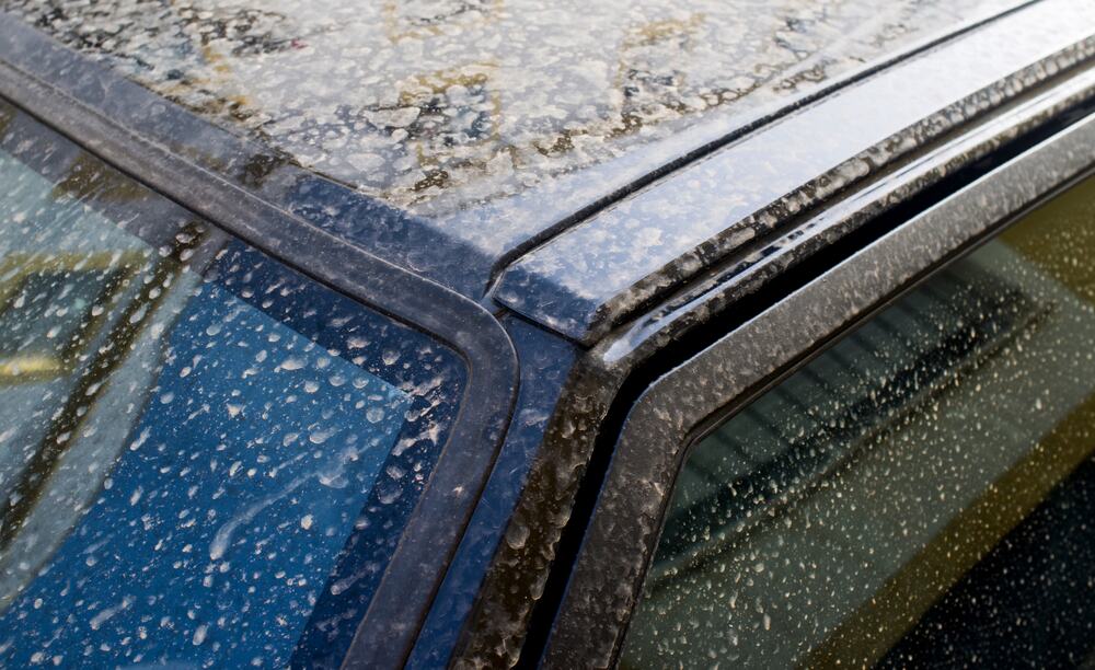 Šta je "krvava kiša" i koliko je opasna? Nebo postaje crveno, a kiša izgleda kao krv - evo šta se krije iza misterioznog fenomena koji plaši ljude