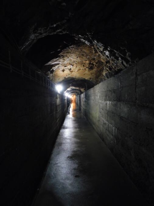 OTKRIVANJE "TAJNE KAMENE DEVOJKE" Treći put u malozvorničkom Podzemnom gradu Karađorđevića (FOTO)