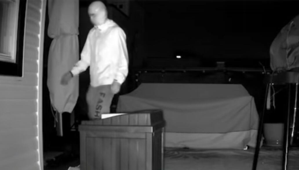 Postavila kameru u dvorište zbog životinja, pa se zaprepastila: Jeziv prizor je prestravio 