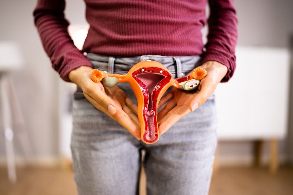 Veliko naučno otkriće! Jajnici ne prestaju sa radom posle menopauze: Naučnici u šoku nakon što su otkrili šta ovaj organ zapravo radi u starijim godinama!