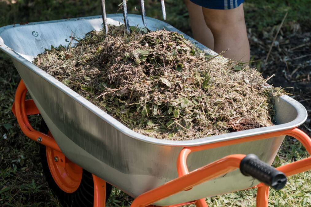 Rešite se upornog korova uz pomoć spreja iz kuhinje: Sve je na prirodnoj bazi i uspeh je zagarantovan
