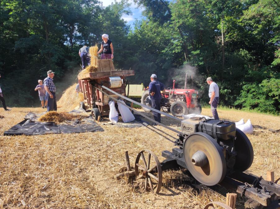 ZLATNA BUKLIJA ZA „ARAN“: Novo priznanje Pantelićima u Velikoj Plani (FOTO)