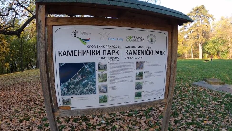 ĆEVAPI 550, PILEĆI BATAK 229 KILO! Novosađani spremni za prvomajski uranak, Kamenički park doteran, a ovo su cene mesa!  