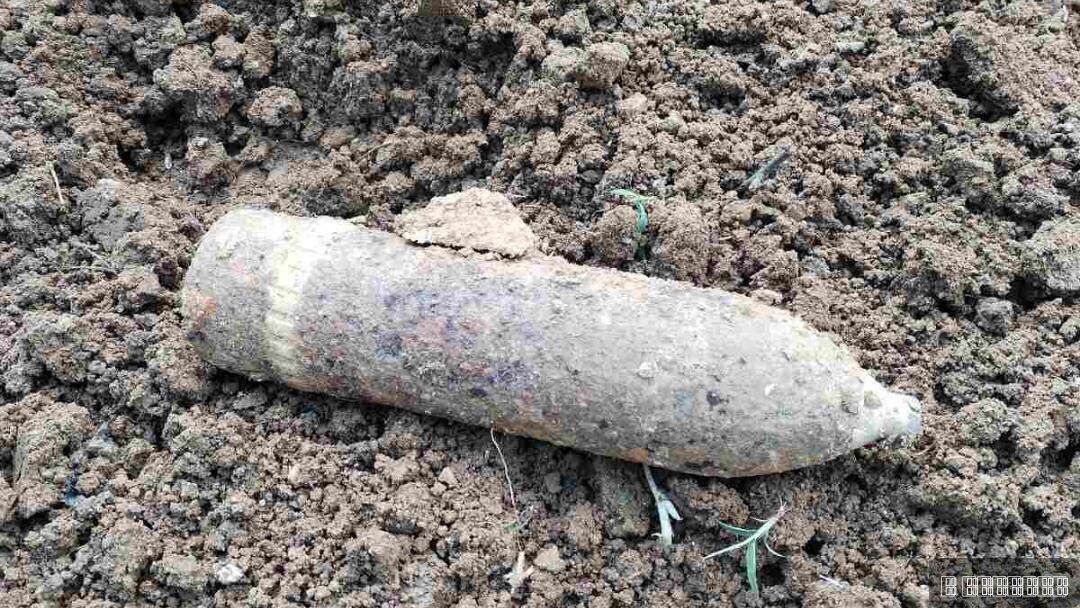 GRANATA IZORANA U VINOGRADU KOD JAGODINE: Policija odmah reagovala (VIDEO)