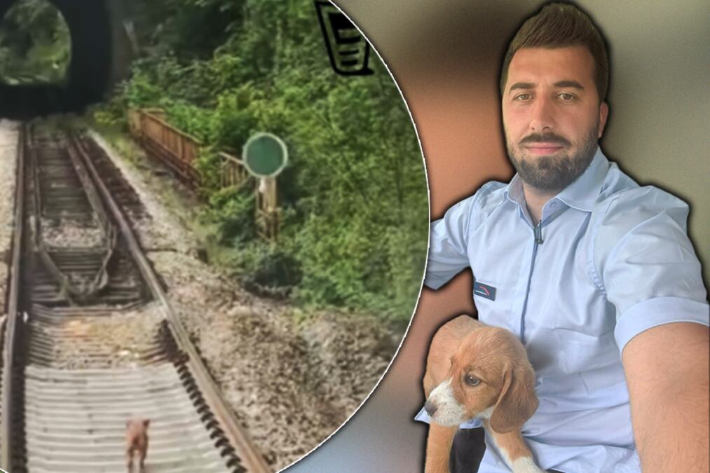 Mašinovođa Milan zaustavio voz zbog kučenceta na pruzi kod Zaječara: Trčala je koliko je noge nose, a onda je usledio gest koji je raznežio Srbiju (VIDEO)