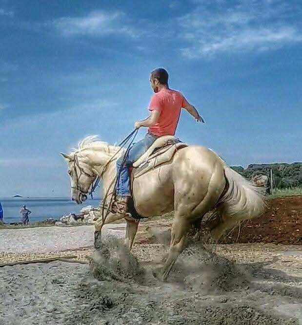 KOBILA UBILA VETERINARA TOKOM INTERVENCIJE! Jezivi detalji tragedije u štali, ovako je životinja brutalno usmrtila nesrećnog čoveka (FOTO)