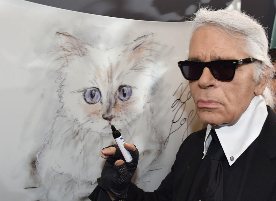 Karl Lagerfeld je voljenoj mački u nasledstvo ostavio milione: Sada se oglasila njegova kućna pomoćnica "Ni ja ni mačka nismo dobile ništa"