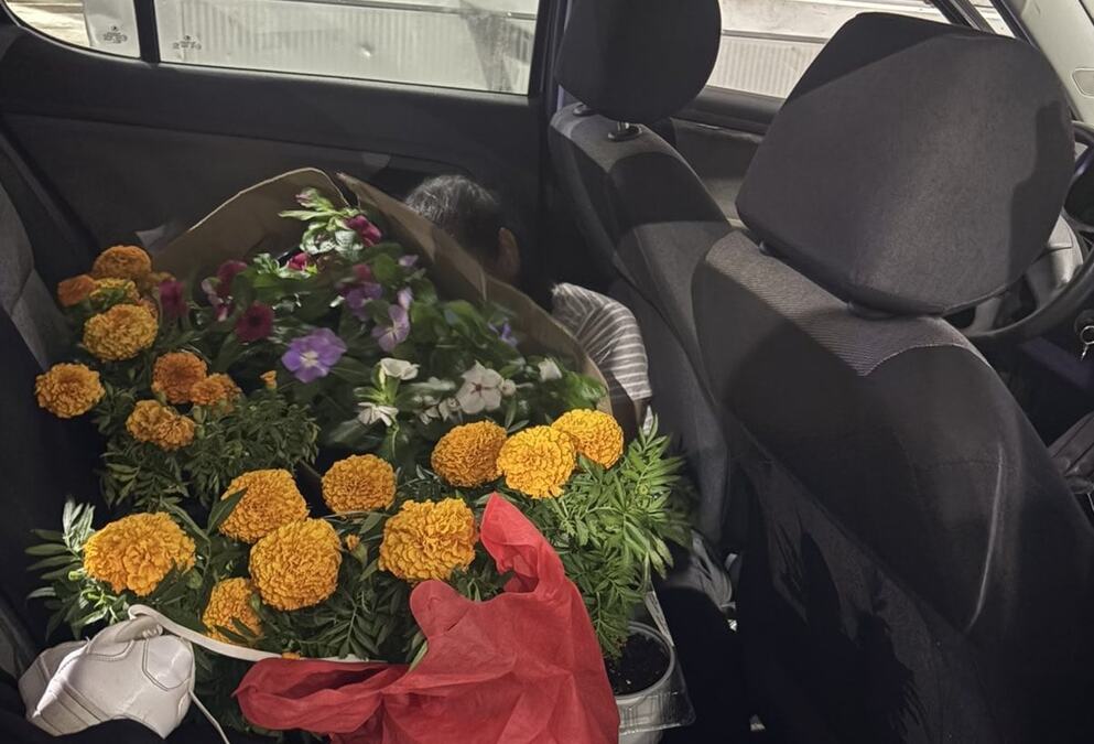 BIZARNO: Čovek pokušao iz Crne Gore u Bosnu da prokrijumčari ŽENU sakrivenu među buketima cveća (FOTO)