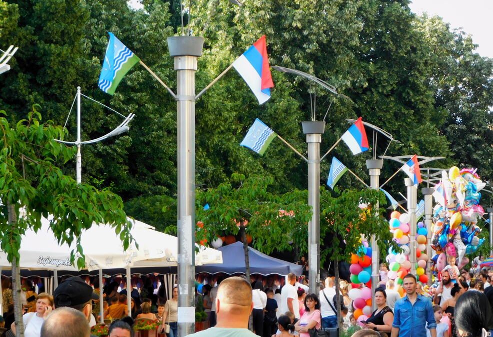 ZA SVAKOGA PO NEŠTO: Šestodnevni program povodom Dana Loznice