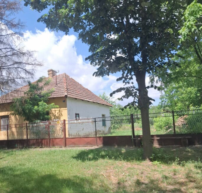 Ogromna kuća i plac u Vojvodini prodaju se za 10.000€: Svi s