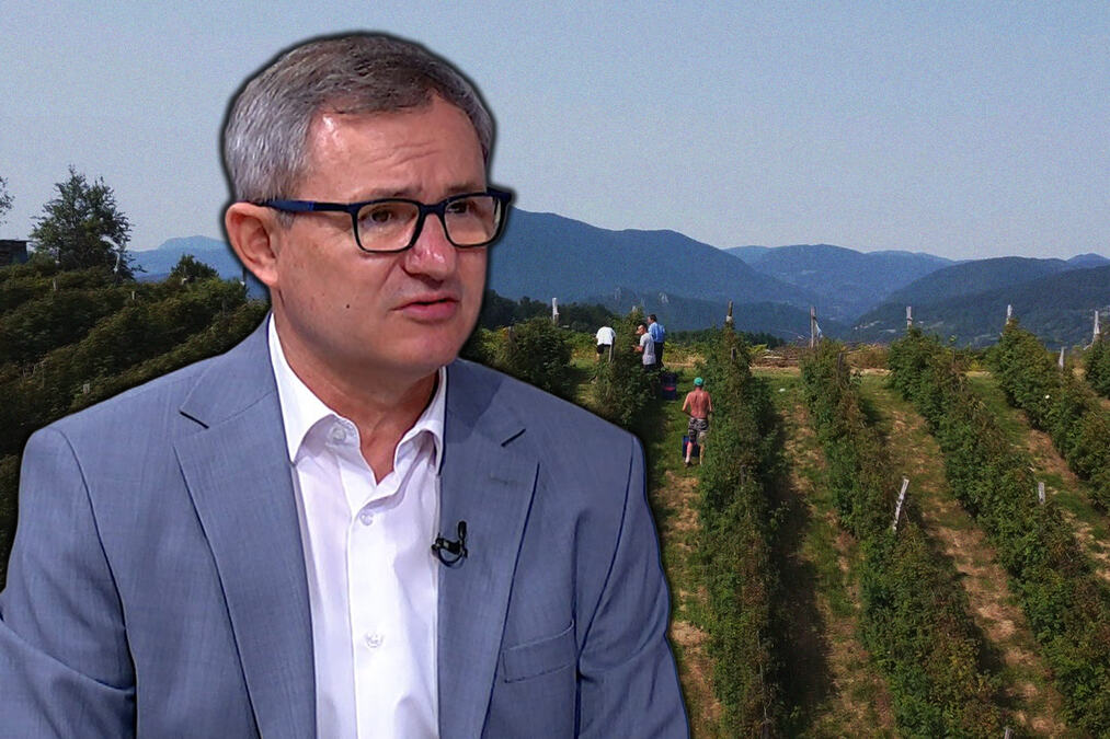 Udeo prerađenih proizvoda u izvozu porastao sa 28 odsto na 42 odsto u pet godina! Glamočić: „Od voća prihodujemo između 1,3 i 1,5 milijardi evra“
