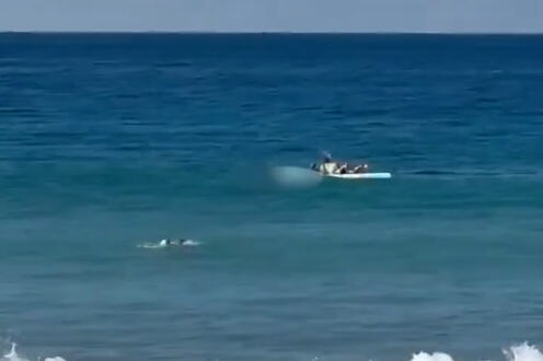 „JEZIV VRISAK JE ODJEKNUO PLAŽOM, MISLILI SMO DA SE DECA IGRAJU, A ONDA…“ HOROR snimci žene koju je napala velika bela ajkula! Sve je bilo KRVAVO! (VIDEO)