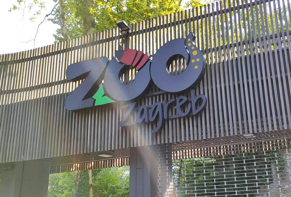 SENZACIJA U KOMŠILUKU! U zoološkom vrtu rođene JEDINE BEBE OVE VRSTE u celoj Evropi: Uprava izdala hitno upozorenje za sve koji žele da ih vide (FOTO)