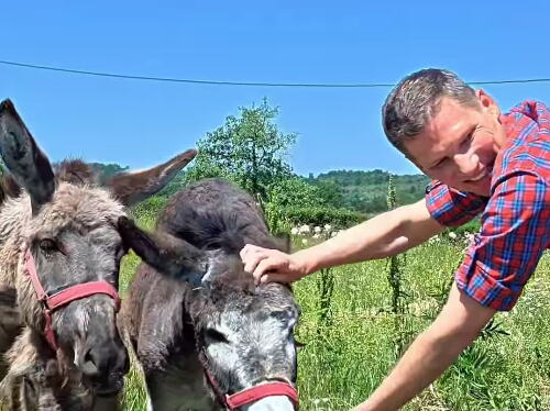 "Volim sarmu i musaku, a kupus obožavam" Švajcarac se doselio u selo kod Valjeva, čuva magarce, guske i kokoške "U Švajcarskoj više nema ovoga..."