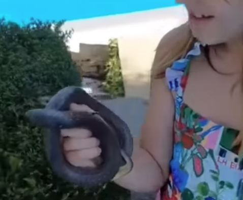 Devojčica iz Vranja uzela zmiju golim rukama: Ono što joj je rekla pred puštanje kida srce, zbog ovih reči Srbija plače! (VIDEO)