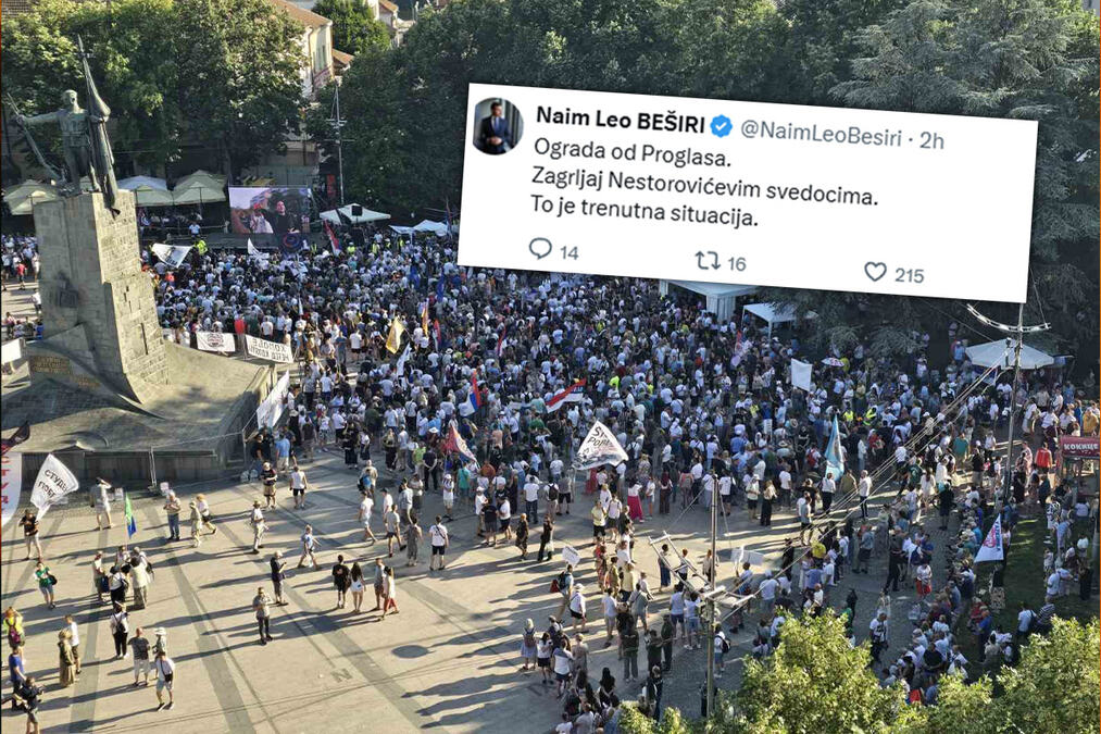 POJAČAVA SE RAT BLOKADERA ZBOG JELENE PAVLOVIĆ! Nestorovićeva bivša poslanica unela nove podele u blokaderski pokret, prozivke ne prestaju (FOTO)