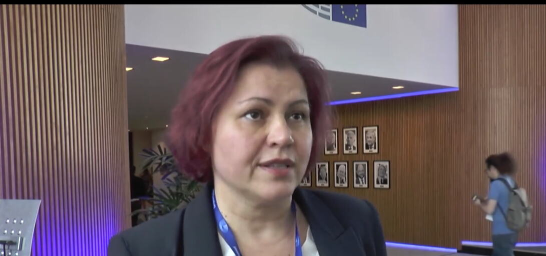 IZVEŠTAJ PICULE NIJE OBJEKTIVAN! Reagovala mađarska evroposlanica Viček: Reforme i napredak Srbije nisu dovoljno istaknuti ili su predstavljeni uz rezerve!