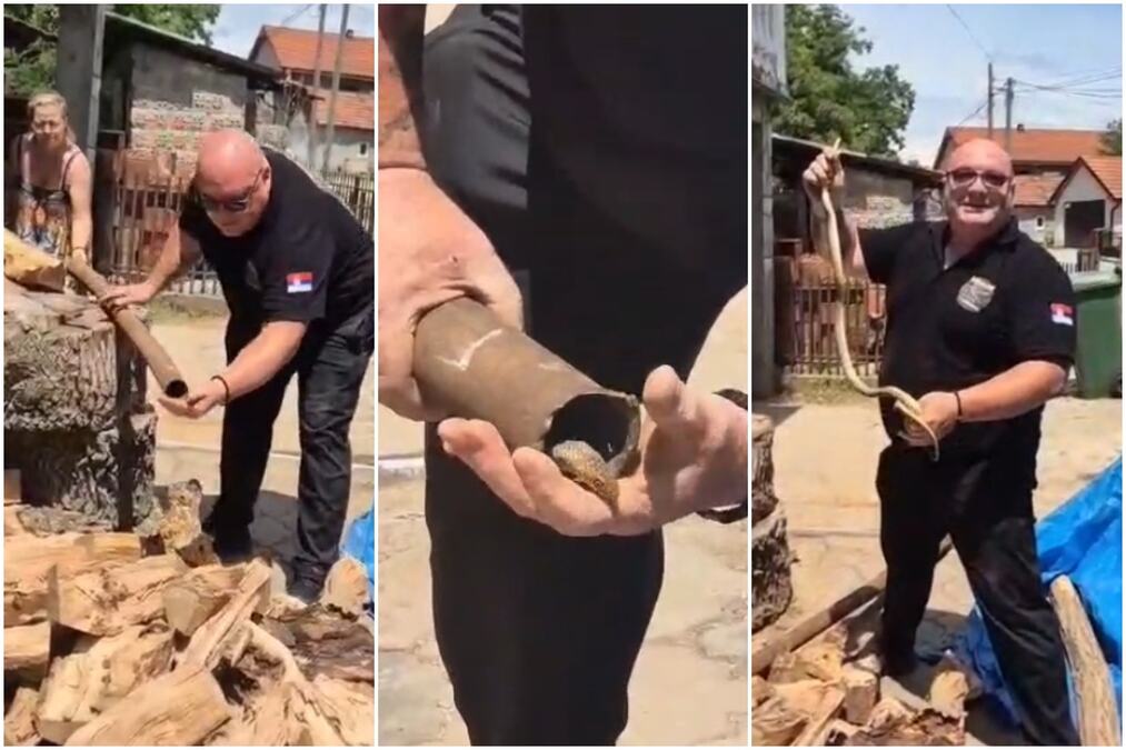 DRAMA U DVORIŠTU KOD VLADIČINOG HANA: Gospodar zmija sa juga Srbije se namučio dok je izvlačio smuka iz vodovodne cevi: Čekaj, bre, rođače! (FOTO/VIDEO)