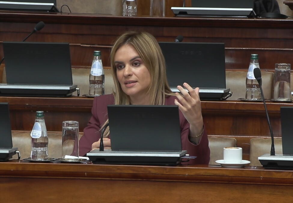 "MERE DRŽAVE U OBLASTI DEMOGRAFIJE DAJU REZULTATE" Đurđević Stamenkovski u Skupštini: U prethodnoj godini isplaćeno 44,5 milijardi samo za roditeljski dodatak
