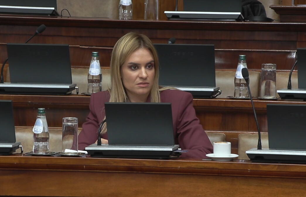 DAJTE DA SE UOZBILJIMO Žestokog odgovor ministarke Đurđević Stamenkovski Novakoviću: Važni su vam bili revanšizam i privatizacija, porodica vam nije bila važna