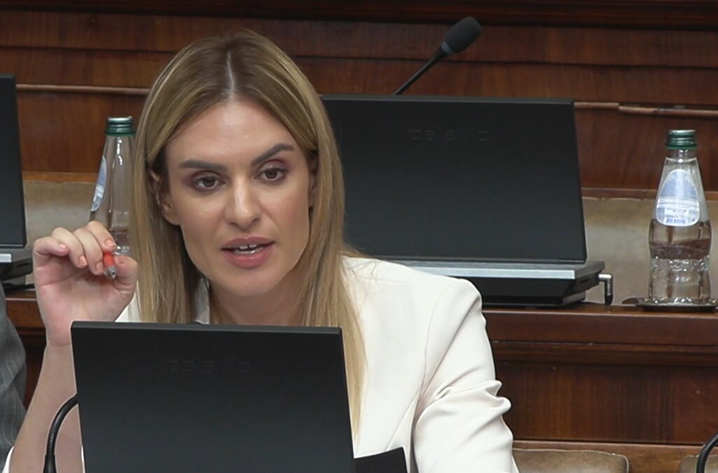 MINISTARKA ĐURĐEVIĆ STAMENKOVSKI POKLOPILA OPOZICIJU U SKUPŠTINI: Svi su se složili da je ovaj zakon pozitivan korak - prvi put se bavimo pravima roditelja