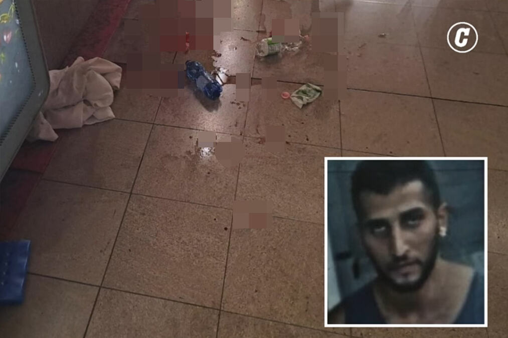 "ŠTA ME GLEDAŠ, JA SAM MUŠKARAC I MUSLIMAN" Horor u Italiji, nožem sakatio devojku u metrou usred Milana, oslobođen iz pritvora samo par sati pre napada (VIDEO)