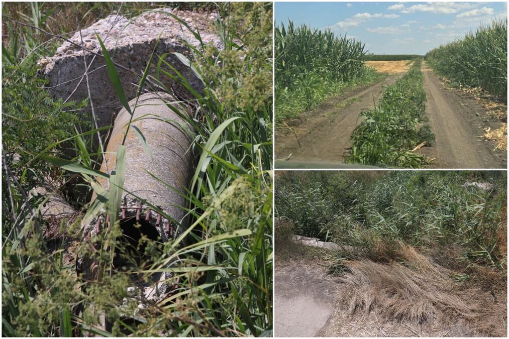 PRVE SLIKE SA MESTA NESREĆE U BATAJNICI Mladići vozili kvad po njivi, upali u jedva vidljiv kanal, meštani otkrili detalje: Trebalo je da se ženi za 10 dana...
