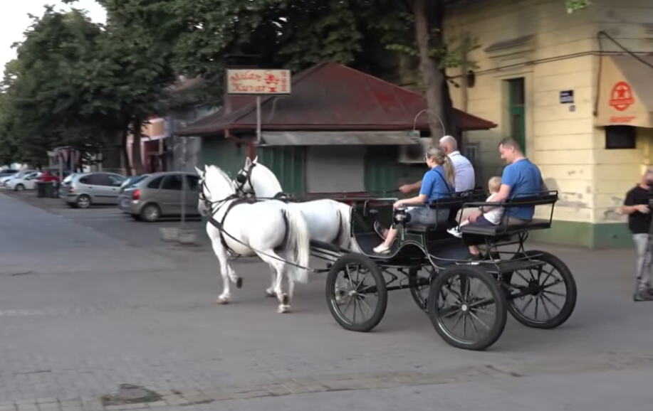 NEVEROVATAN DOŽIVLJAJ I OVOG LETA U KIKINDI: Svake nedelje uveče vožnja fijakerom! Mali Vujadin (10) iz Čikaga oduševljen (VIDEO)
