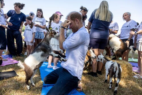Princ Hari doživeo bizarnu nezgodu s kozom: Toliko je bio šokiran da je legao na zemlju da dođe sebi (FOTO)