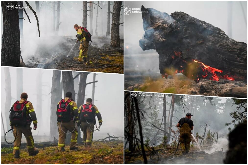 NOVI POŽAR U ČERNOBILJSKOJ ZONI ISKLJUČENJA! Vatrena stihija zahvatila šumsko tlo na površini od 1 HEKTARA, poznato šta se dešava sa nivoom radijacije (FOTO)