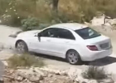 DRAMA U ULCINJU: Žena autom PREGAZILA PSA nakon što je njen ljubimac napadnut, pokušala da pobegne iz države (VIDEO)