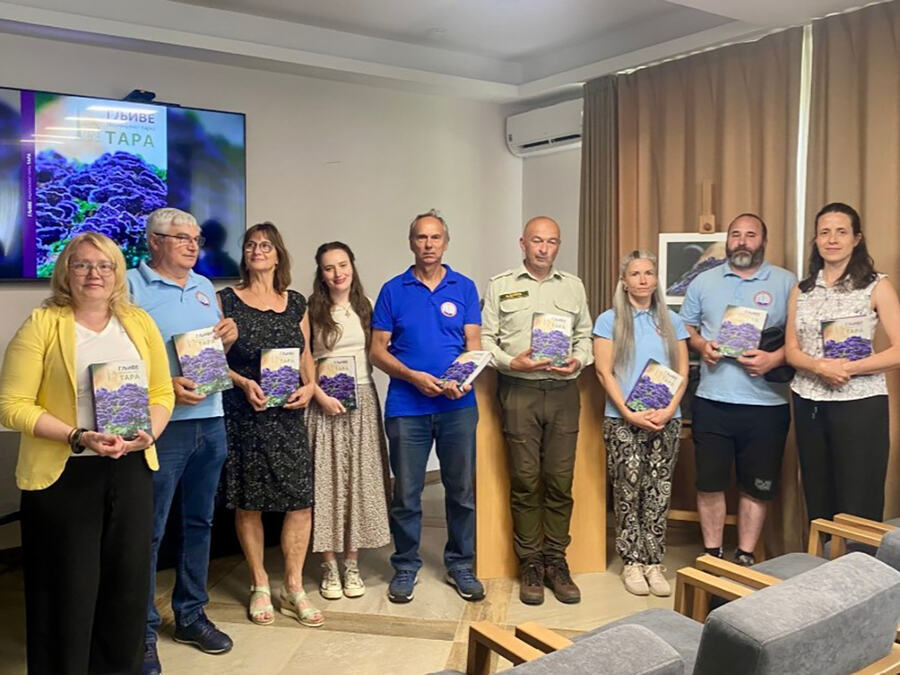 TARA SLAVI 45 GODINA, A KRIJE PRAVO PRIRODNO BOGATSTVO! Pronađene čak 563 vrste gljiva, među njima i zaštićene, lekovite i veoma otrovne (FOTO)
