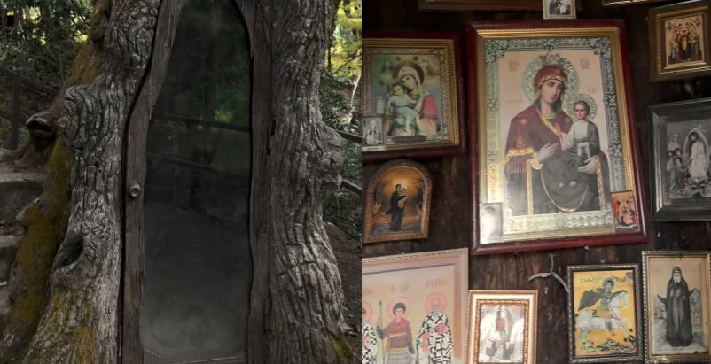 Najmanja pravoslavna kapela krije se u hrastu starom 400 godina: Samo tri osobe mogu da stanu unutra (video)