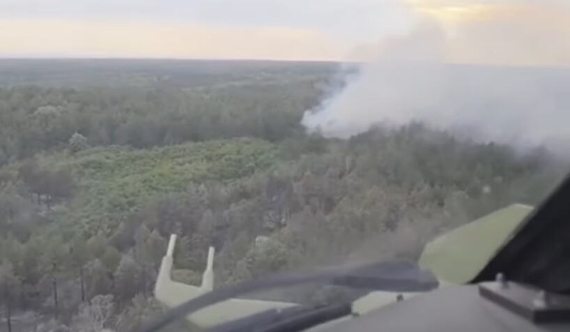 UGAŠEN POŽAR U DELIBLATSKOJ PEŠČARI: Gorela borova šuma na više od pet hektara (VIDEO)