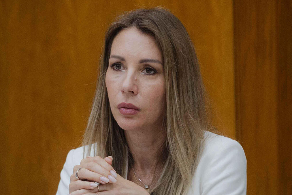 Toplotni talas i vodostaj Dunava: Đedović Handanović apeluje na građane da racionalno troše električnu energiju

