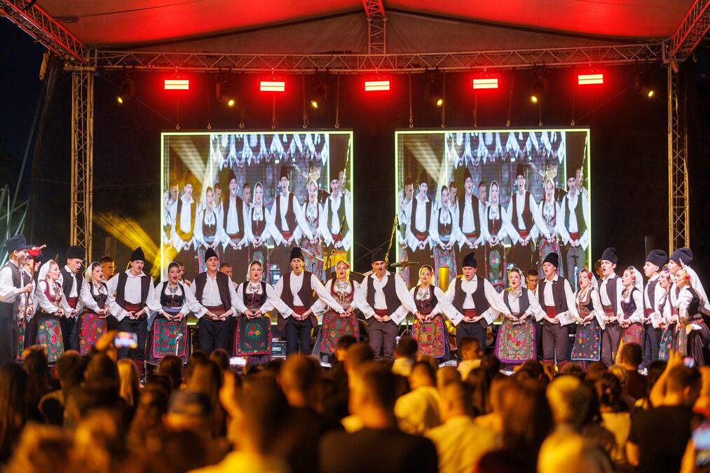 PONESITE DOBRO RASPOLOŽENJE, ŠUMADIJA ZOVE! Počinju "Šumadijski dani šljive": Čeka vas besplatna vodička tura, najlepša rakija i razni koncerti!