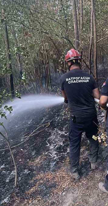 ALARM ZBOG TOPLOTNOG TALASA U KRAGUJEVCU! Vatrogasci spremni za reakciju, građani upozoreni da jedna varnica može izazvati veliki požar (FOTO)