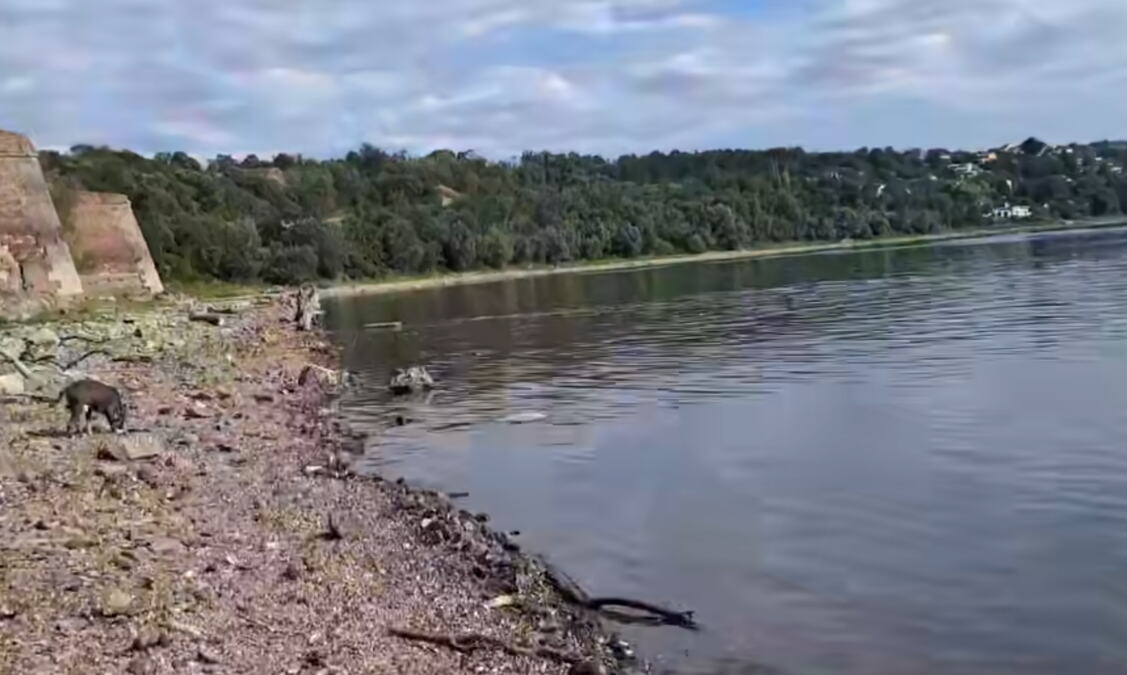 OVO JE NAJJEZIVIJE OTKRIĆE KOJE JE DUNAV IZBACIO U SRBIJI! Nizak vodostaj OGOLIO RATNI UŽAS pod Petrovaradinom: Dramatično upozorenje hidrologa ledi krv (VIDEO)