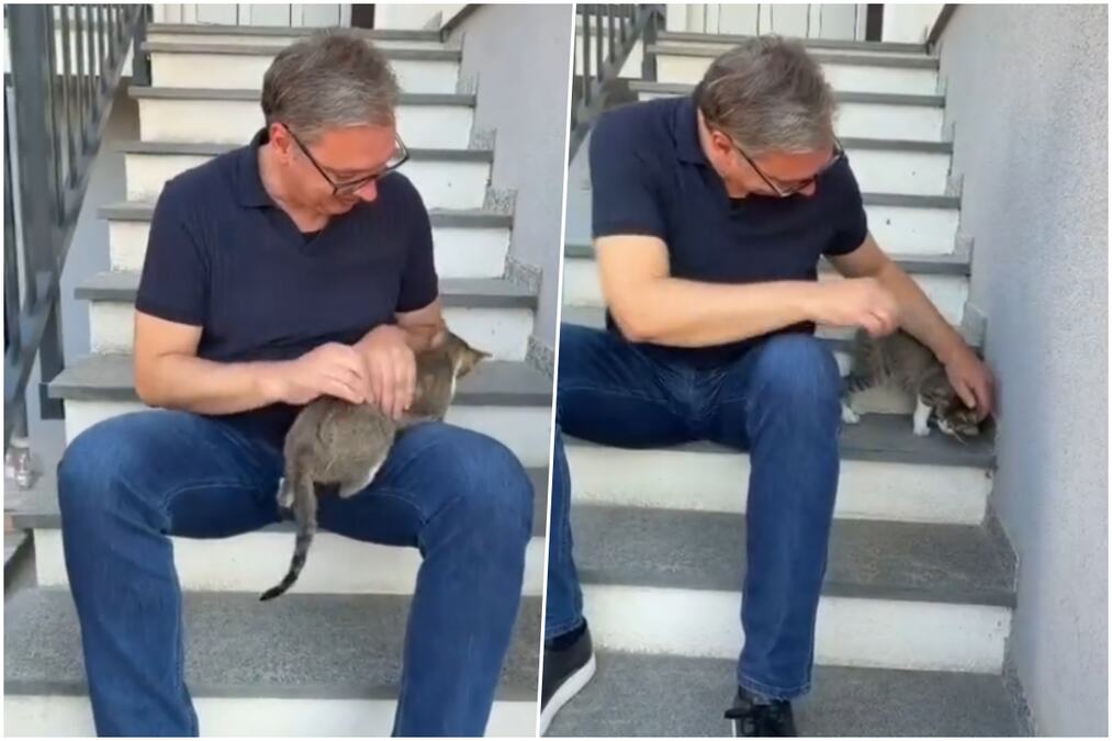 "IZGLEDA DA JE I ONA SVRATILA DA VIDI KO JE STIGAO" Vučić podelio nesvakidašnji snimak ispred kuće u Čipuljiću (VIDEO)