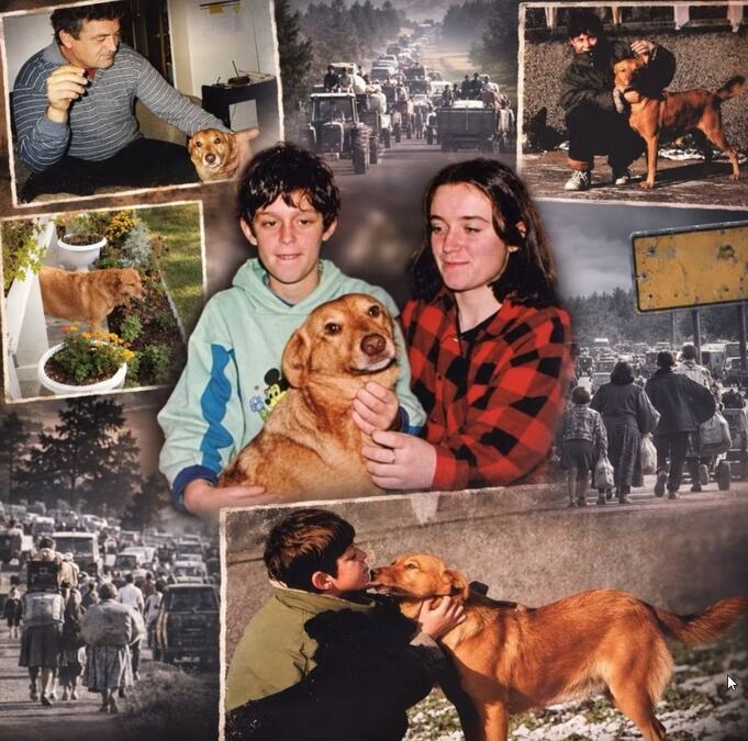 "Mama, došla nam je Dena!" Potez ove keruše iz "Oluje" tera suze na oči: Prešla 500 km preko šuma i reka da nađe svoju porodicu!