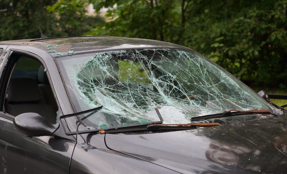 VOZAČ SE ZAKUCAO U KRAVU! Teška saobraćajka kod Cetinja, životinja na mestu mrtva, auto uništen, otkriveno u kakvom je stanju čovek