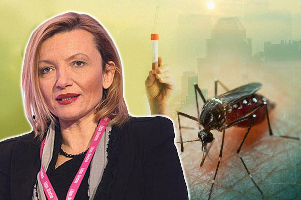 Direktorka "Batuta" o groznici Zapadnog Nila: Oprez je neophodan, ali nema razloga za brigu
