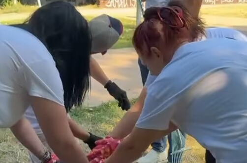 "JEDNI OSTAVLJAJU HAOS, A MI UREĐENE KRAJEVE" SNS aktivisti zasukali rukave širom Beograda: Uređeni parkovi i igrališta, pogledajte kako sada izgledaju! (VIDEO)