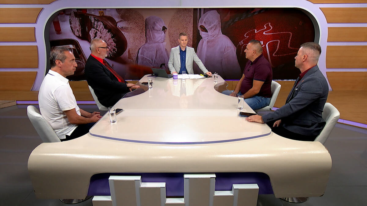 "NOVAC IM JE BIO PRIMARAN, A POSLEDICE IH NISU ZANIMALE" Gosti emisije "Puls Srbije vikend" analizirali slučajeve koji su potresli Srbiju: Zločin se ne isplati