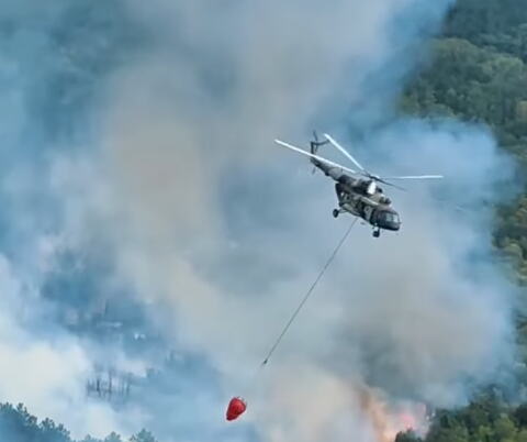 NA STOLOVIMA KOD KRALJEVA I DALJE GORI! Vatrogasci se bore sa stihijom, u Deliblatskoj peščari požar stavljen pod kontrolu (FOTO/VIDEO)