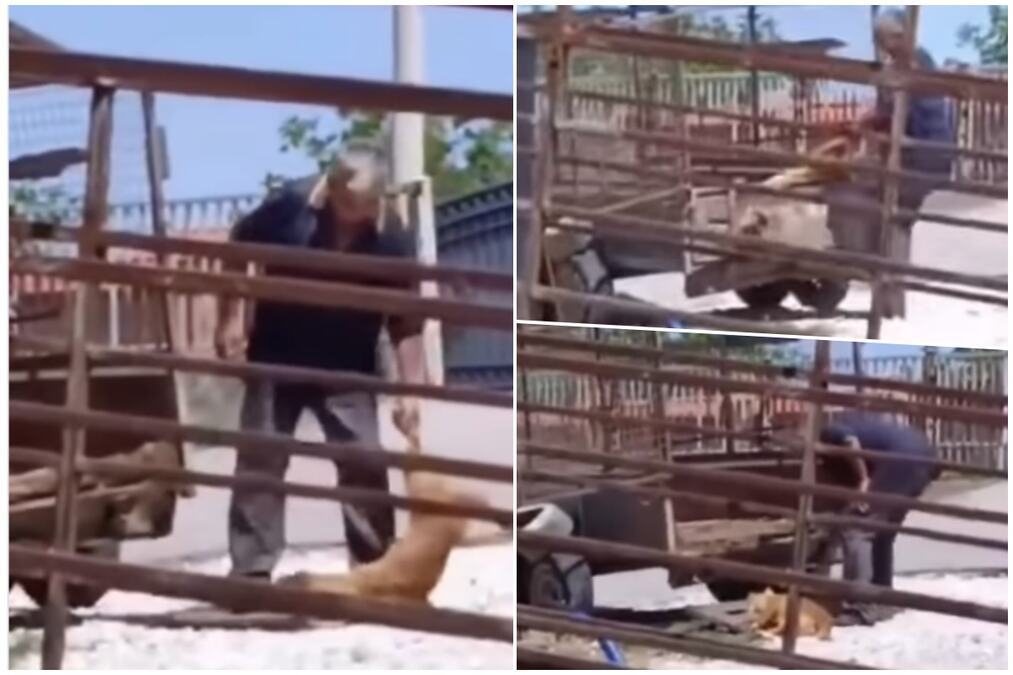 (UZNEMIRUJUĆI SNIMAK) MUŠKARAC IZ MLADENOVCA KRVNIČKI TUKAO PSE DO SMRTI, PA IH ODNEO U PEČENJARU Ovo je krvnik G.Ž. (55) koji je zverski ubio dva psa