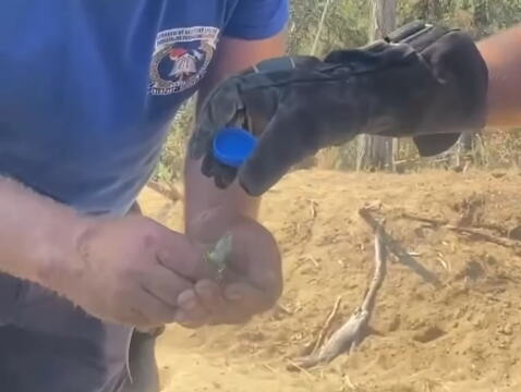 NAŠI VATROGASCI, HEROJI SA SRCEM! Iz vatrene stihije u Deliblatskoj peščari spasli bespomoćno sićušno stvorenje, snimak rastopio srca širom Srbije (VIDEO)