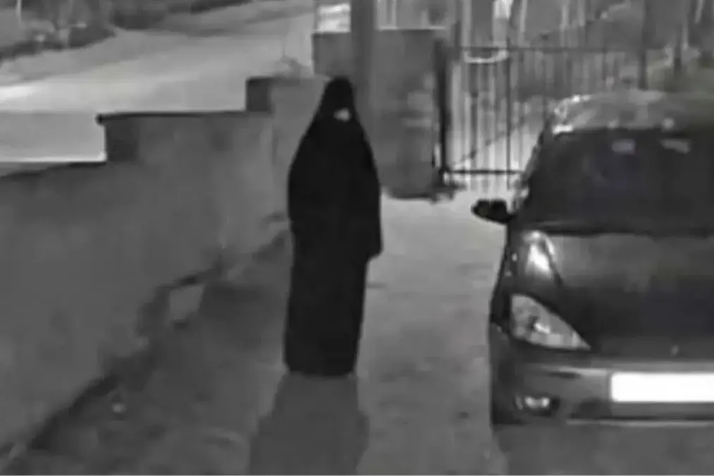 MISTERIOZNA POJAVA DIGLA GRAĐANE NA NOGE Tragaju za maskiranom osobom koju niko nije video, policija obišla teren