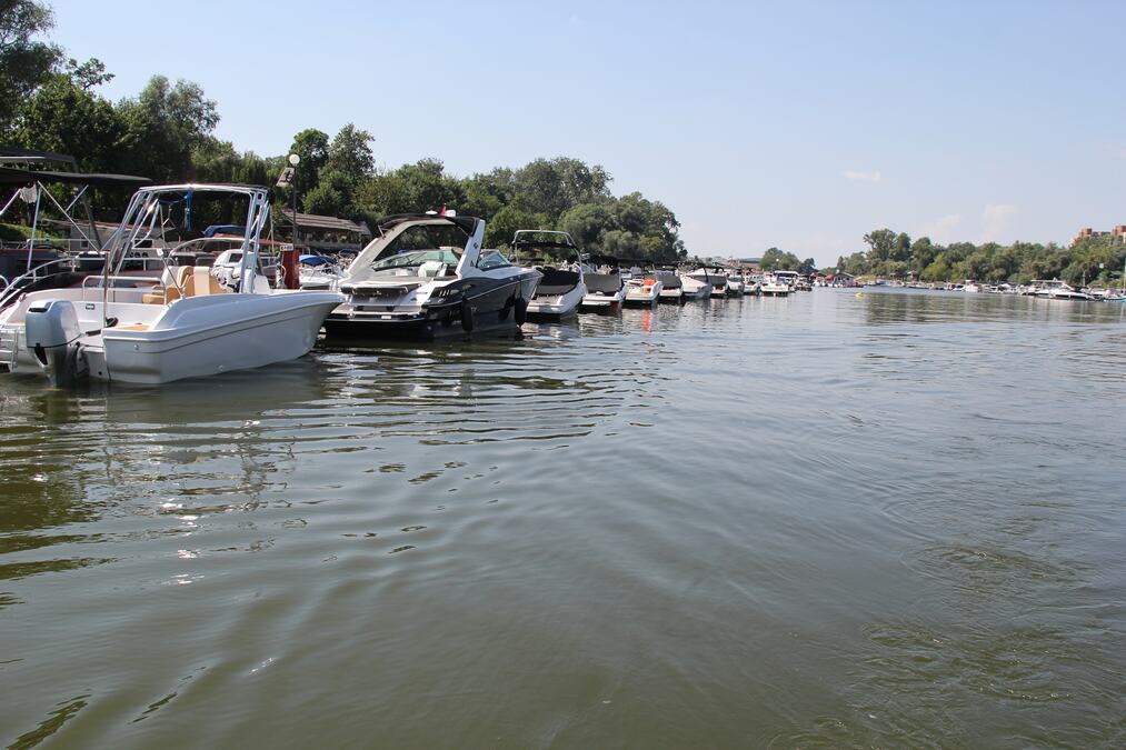 DUNAV NA KRITIČNO NISKOM NIVOU U BUGARSKOJ! Opadanje vodostaja se nastavlja